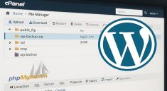 Cara Restore Backup WordPress di cPanel Panduan Mudah untuk Pemula